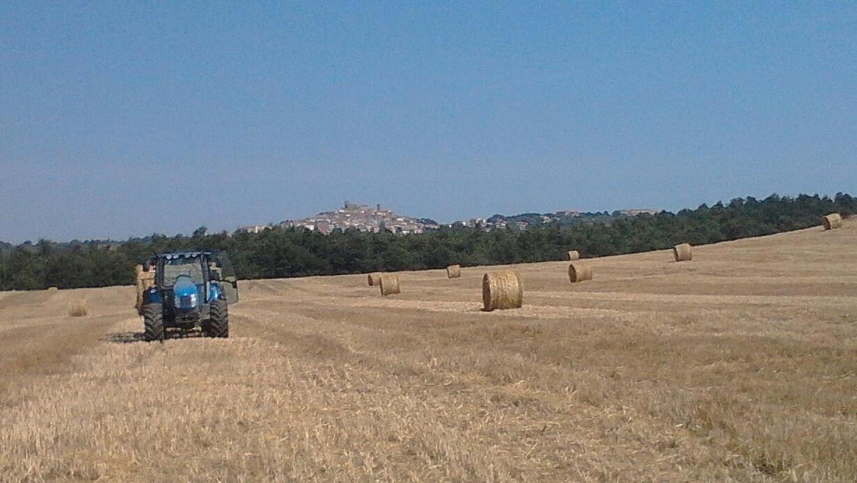 Il Laghetto Agriturismo Villa มันชาโน ภายนอก รูปภาพ